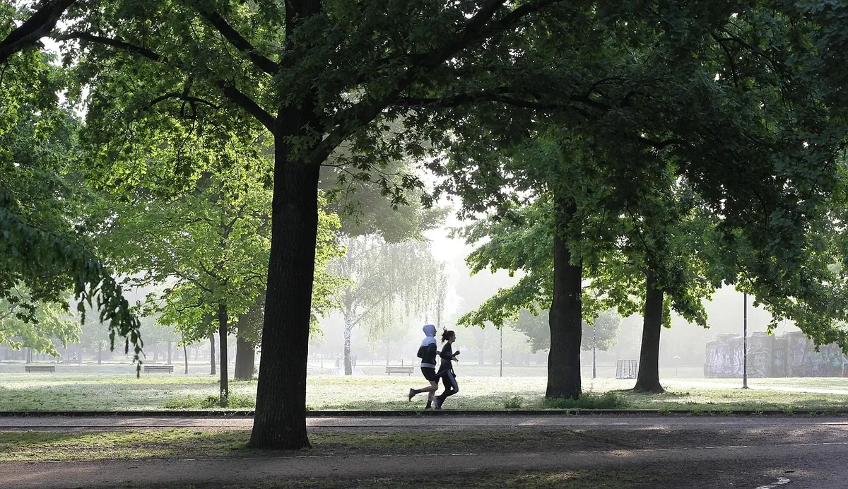 Three Riverside Running Loops in Mercia Compared: A Beginner's Distance and Surface Guide